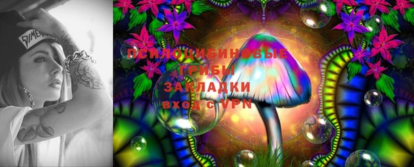 прущий лед Абаза