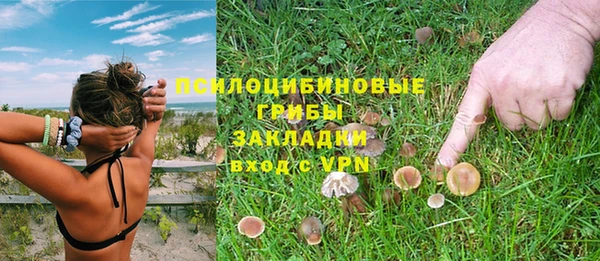 прущий лед Абаза