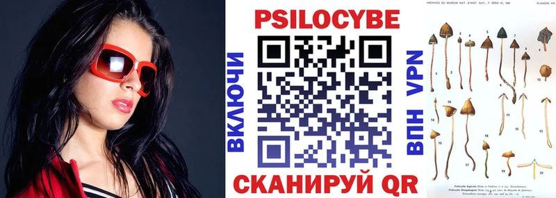 ОМГ ОМГ маркетплейс  Черногорск  Галлюциногенные грибы Psilocybe 
