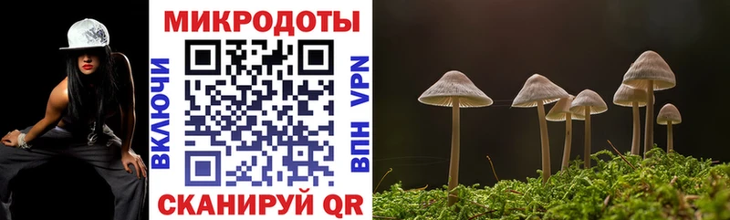 Галлюциногенные грибы мицелий Черногорск